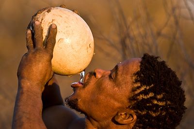 © FIA - Kalahari - Botswana Kalahari - Botswana
