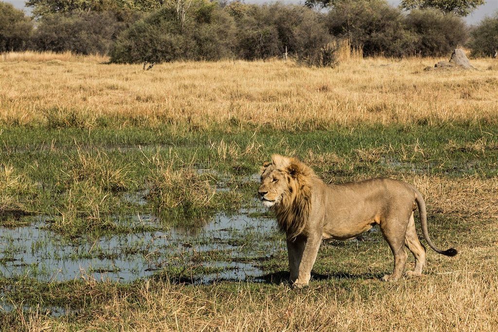 Voyage De rando en safari, l'aventure à pied 3