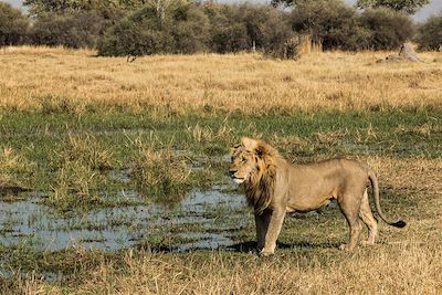 Voyage De rando en safari, l'aventure à pied 3