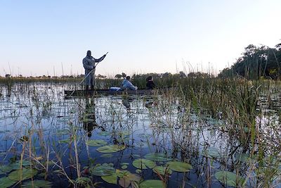 Safari en mokoro sur le delta de l'Okavango - Botswana