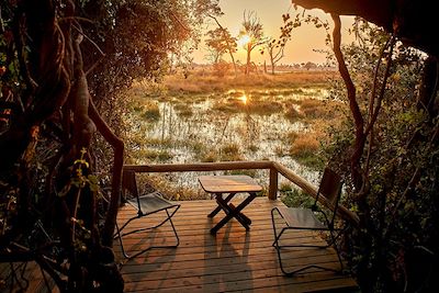 Oddballs Camp - Okavango - Botswana