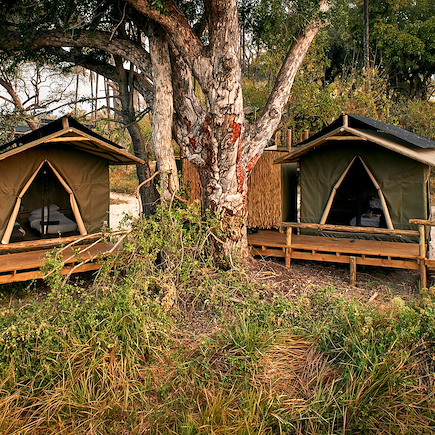 Safari à pied Botswana