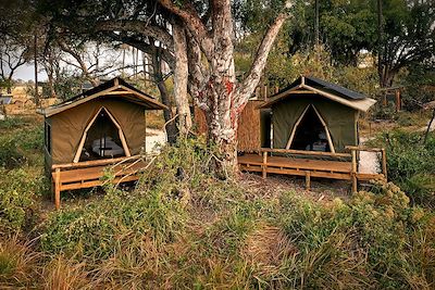 Oddballs Camp - Okavango - Botswana