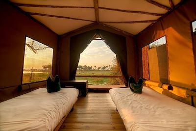 Oddballs Camp - Okavango - Botswana