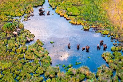 Delta de l'Okavango au Botswana