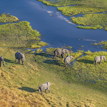 Safari en véhicule Botswana
