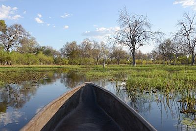 Mokoro - Okavango - Botswana 