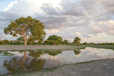 Voyage Safari bivouac au Botswana 1