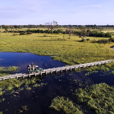 Safari Botswana