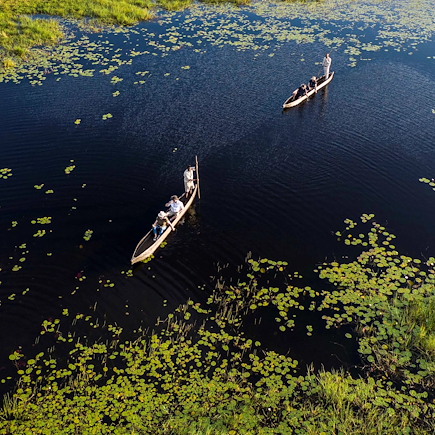 Safari Botswana