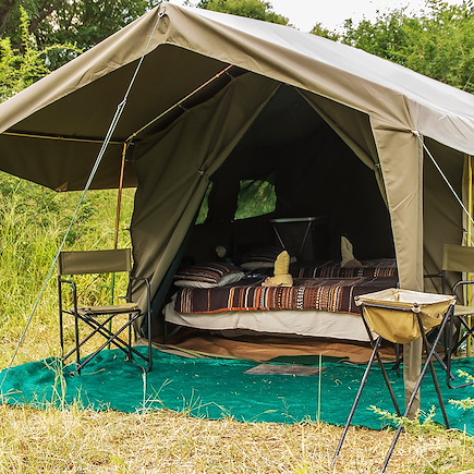 Safari Botswana