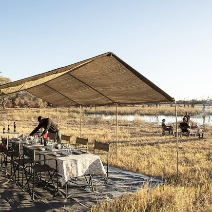 Safari Botswana