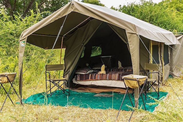 Safari Botswana