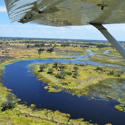 Safari Botswana