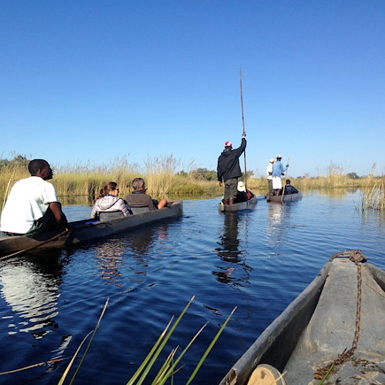 Safari Botswana
