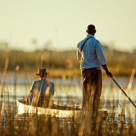 Safari Botswana