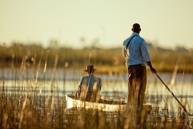 Safari Botswana