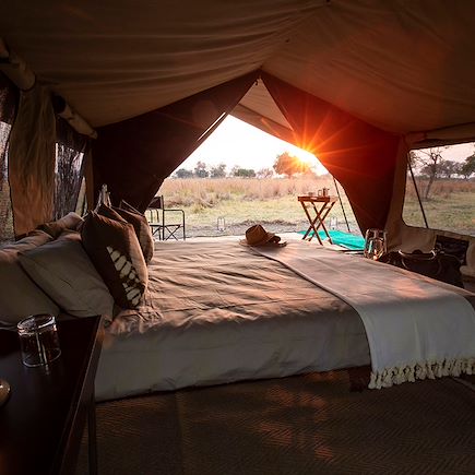 Safari Botswana
