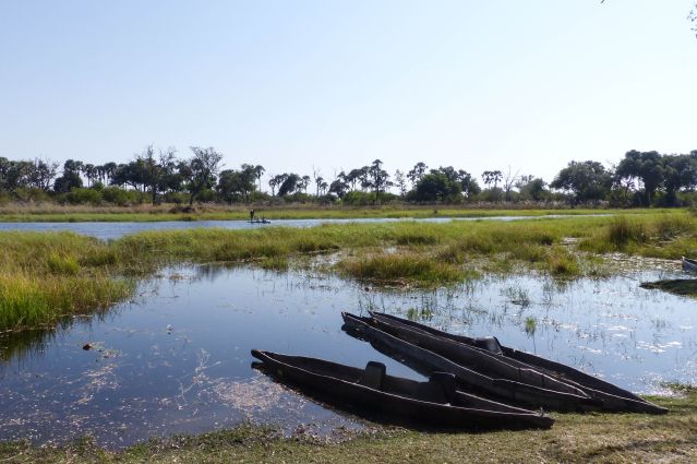 Voyage Du Kalahari à l'Okavango, une aventure magique  3