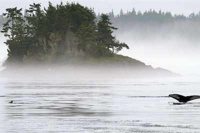 Voyage Bord de mer et îles Canada