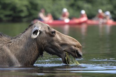 © Steve Deschênes/Sepaq - Parc national de la Jacques-Cartier - Québec Parc national de la Jacques-Cartier - Québec