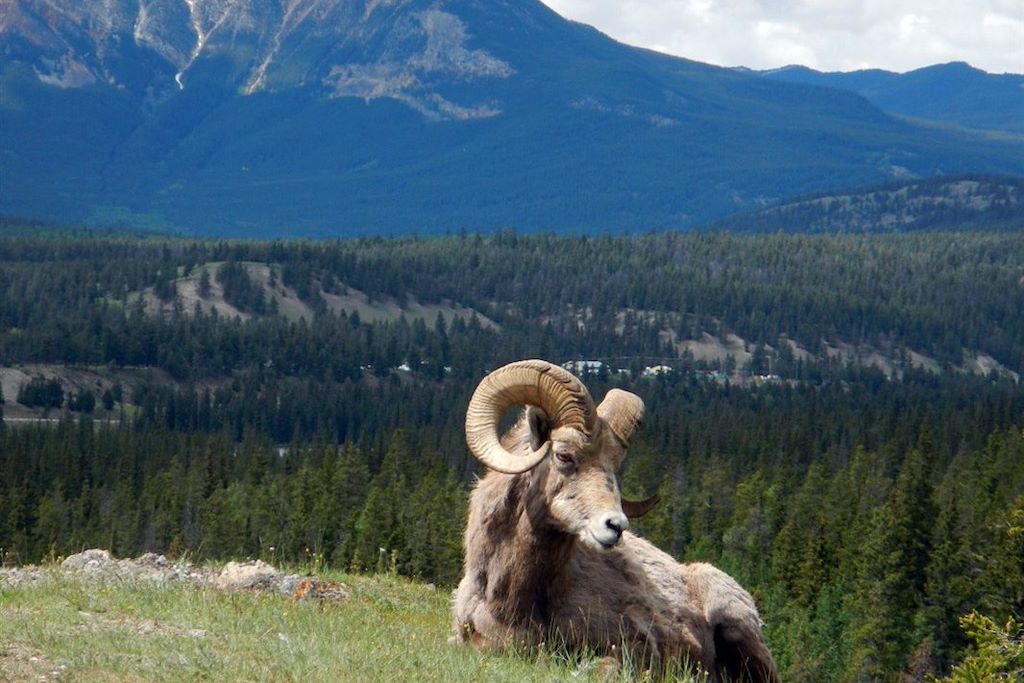 Image Rocheuses canadiennes - Lac Moraine - Lac Emerald - Banff - Yoho