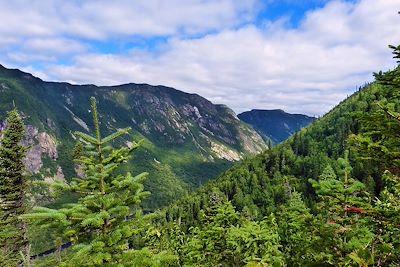 © Marianne Furlani - Parc national des Hautes-Gorges de la rivière Malbaie - Québec - Canada Parc national des Hautes-Gorges de la rivière Malbaie - Québec - Canada