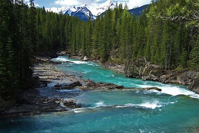 Rivière Yoho  - Canada
