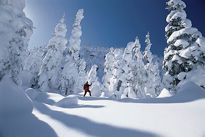 Voyage Immersion hivernale au cœur du Québec 3