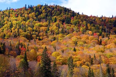 © Werner Bayer - Parc National de Gaspé - Canada Parc National de Gaspé - Canada