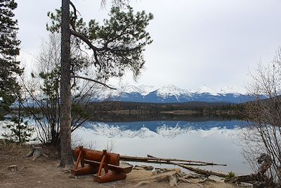 © Laurine Barthelay - Parc national de Jasper - Alberta - Canada Parc national de Jasper - Alberta - Canada