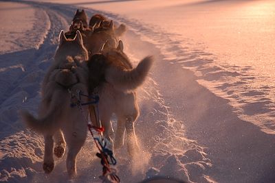 Voyage Terres Polaires Canada