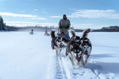 Expédition en chiens de traîneau - Québec - Canada