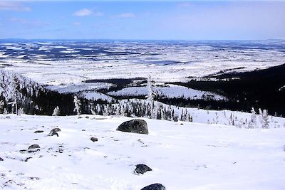 Dans les plaines - Saint-Edmond-les-Plaines - Lac Saint-Jean - Québec - Canada