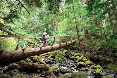 Strathcona - Ile de Vancouver - Colombie-Britannique - Canada