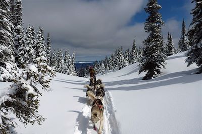 Traîneau à chiens - Canada