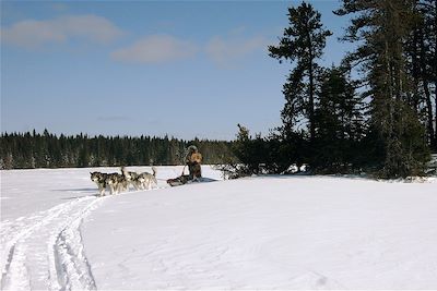 Traîneau à chiens - Canada