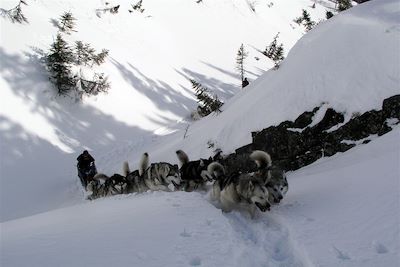© Gilles Granal - Traîneau à chiens - Canada Traîneau à chiens - Canada
