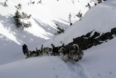 Traîneau à chiens - Canada