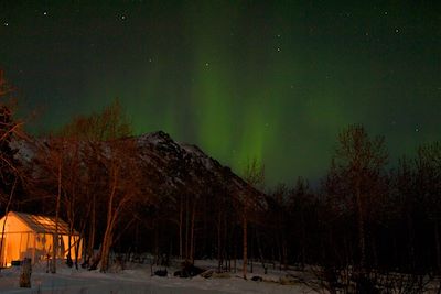 © Sky High Wilderness - Aurore boréale dans le Yukon - Canada Aurore boréale dans le Yukon - Canada