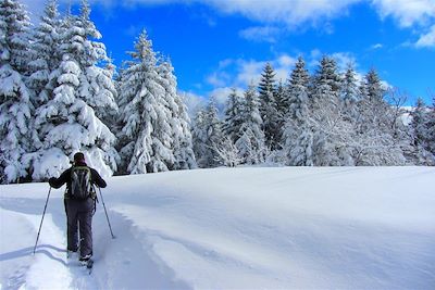 Voyage Plaisirs d'hiver au Québec 1