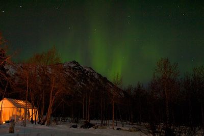 Aurore boréale dans le Yukon - Canada