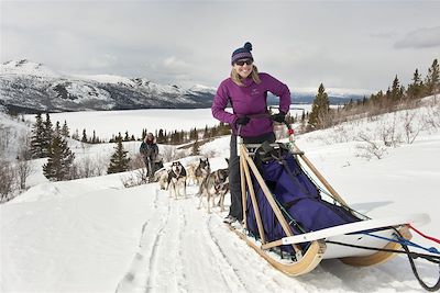 Chiens de traineau dans le Yukon - Canada