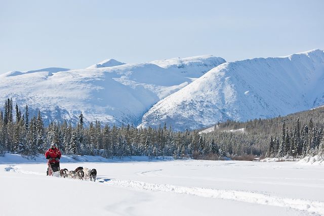 Voyage Yukon, l'appel du loup 