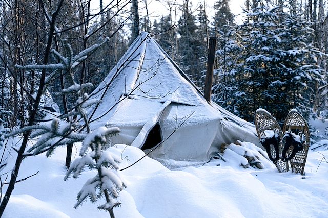 Neige : Traîneau à chiens dans les forêts du Québec Voyage Traîneau à chiens dans les forêts du Québec