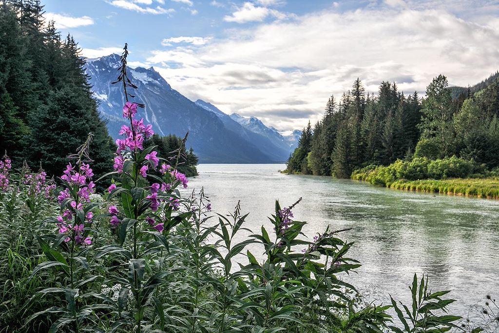 Image Parc national de Banff - Parc national de Jasper - Monts Tombstone