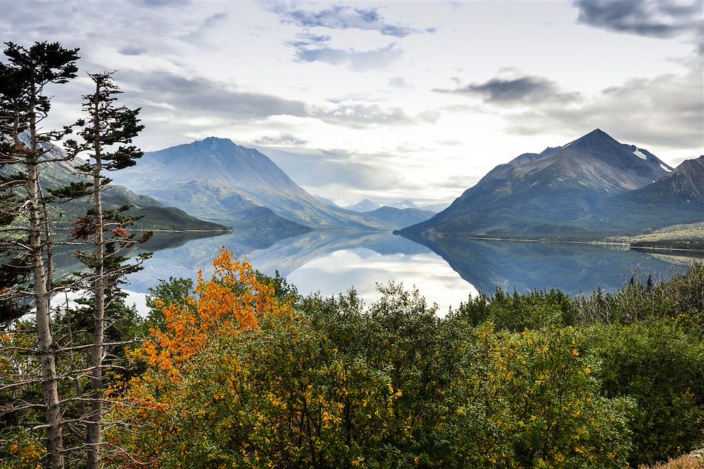 Image Observation ours bruns grizzlis - Yukon – Randonnée Alaska
