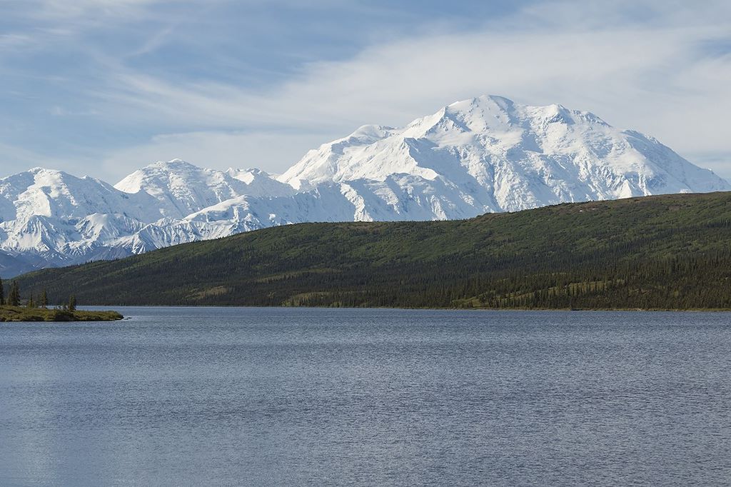 Image Observation ours bruns grizzlis - Yukon – Randonnée Alaska