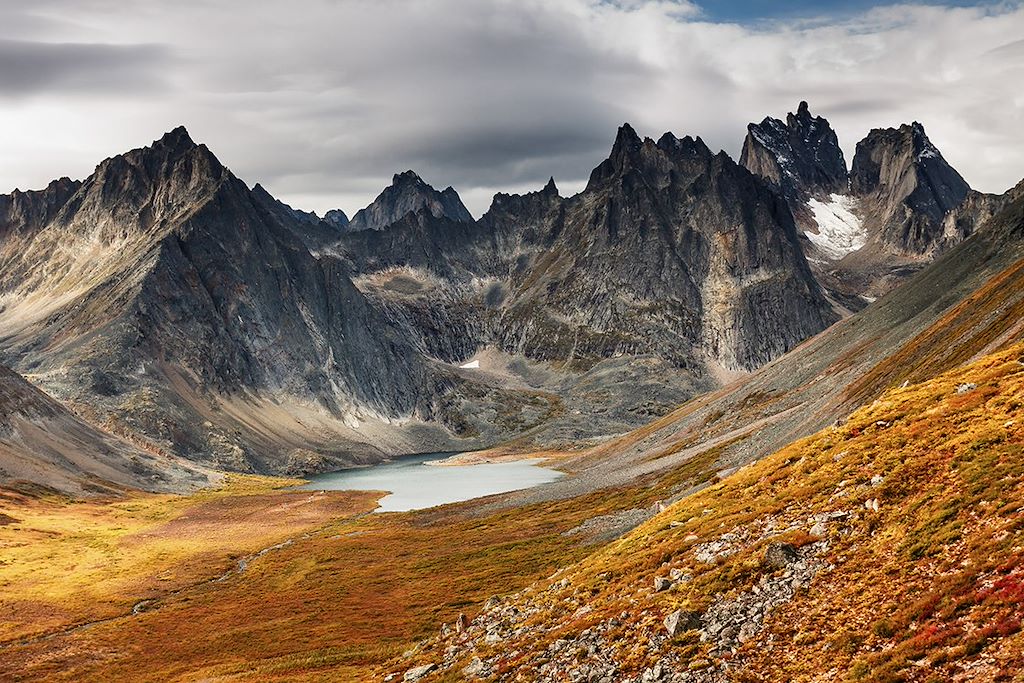 Image Observation ours bruns grizzlis - Yukon – Randonnée Alaska