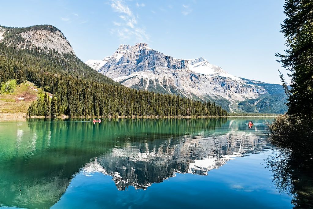 Image Observation ours bruns grizzlis - Yukon – Randonnée Alaska